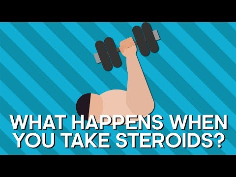 Are steroids vegan